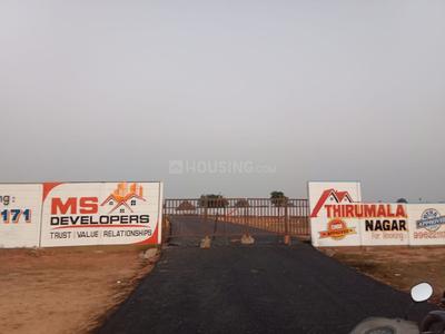 Project Image of 698.25 - 1543.5 Sq.ft Residential Plot Plot for buy in MS Thirumala Nagar Phase 1