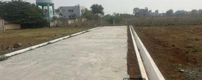 Project Images