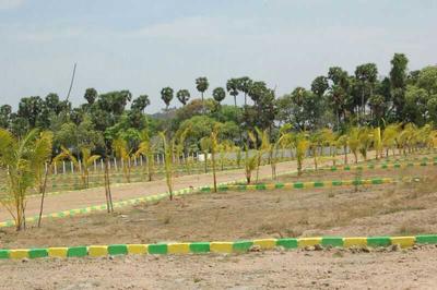 Miraacle Dreams Villa Plots Elevation 1