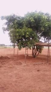 Project Image of 1800.0 - 4320.0 Sq.ft Residential Plot Plot for buy in VS Valencia Town