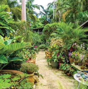 Project Image of 1000 Sq.ft Residential Plot / Land for sale in Sanwer for Rs. 5200000