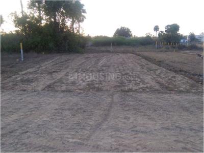 Project Image of 279.97 - 1511.04 Sq.ft Residential Plot Plot for buy in  Thavesh Avenue