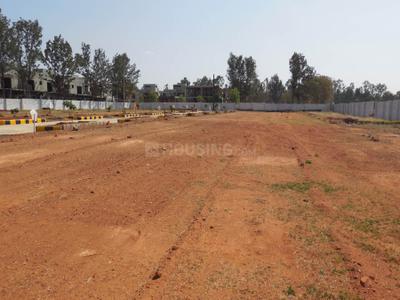 Project Image of 0.0 - 1200.0 Sq.ft Residential Plot Plot for buy in Peninsula Pine woods