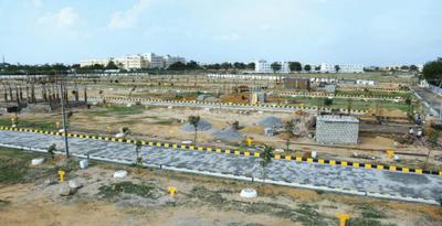 Skandhanshi Lemon Leaf Plot 1