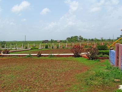 Project Images