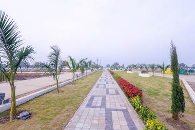 Project Image of 600.0 - 1750.0 Sq.ft Residential Plot Plot for buy in Om Swapn City