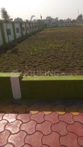 Project Images