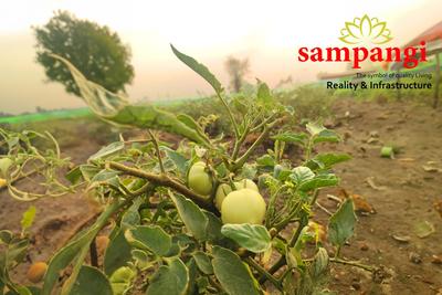 Project Image of 5445.0 - 43560.0 Sq.ft Residential Plot Plot for buy in Sampangi The Treasure Valley