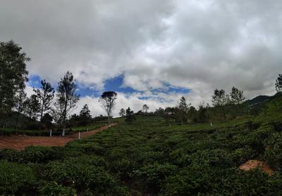 Project Image of 1150.0 - 3049.0 Sq.ft Residential Plot Plot for buy in Abi Infra Kodanad Nest