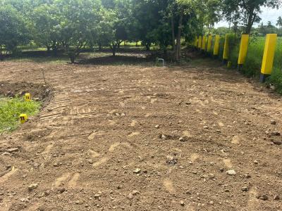 Project Image of 9200.0 - 11000.0 Sq.ft Residential Plot Plot for buy in Sai Sakthi Farms