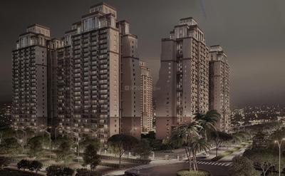 ACE Terra Elevation 1