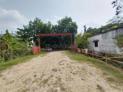 Project Image of 720.0 - 2880.0 Sq.ft Residential Plot Plot for buy in Paradise