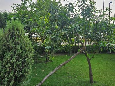 Project Image of 7500.0 - 10000.0 Sq.ft Residential Plot Plot for buy in Swaraj The Villagio