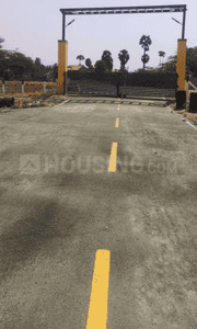 Project Images
