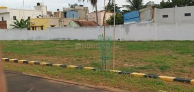 Project Image of 646.0 - 6000.0 Sq.ft Residential Plot Plot for buy in Premier New Smart City