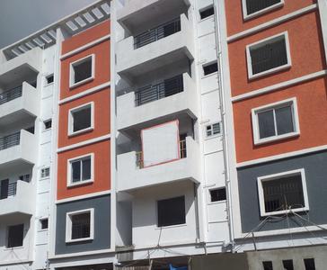 Vega East Woods Images for Project 1