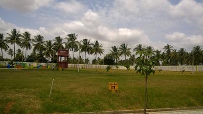 Project Image of 1103.0 - 4978.0 Sq.ft Residential Plot Plot for buy in Dhio Blossom Winds