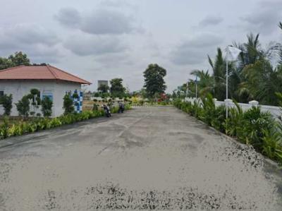Project Image of 4845.37 - 1964564.35 Sq.ft Residential Plot Plot for buy in Ecolife Mount Shadows