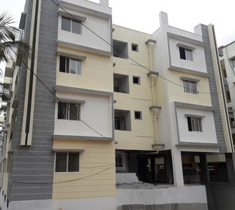 Bilva Elina Images for Project 1