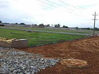 Project Image of 1200.0 - 2400.0 Sq.ft Residential Plot Plot for buy in Terracon Pride County