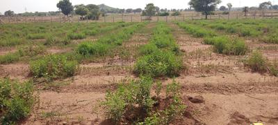 Project Image of 8028.0 - 21609.0 Sq.ft Residential Plot Plot for buy in Vardhan Prakruthi Vanam