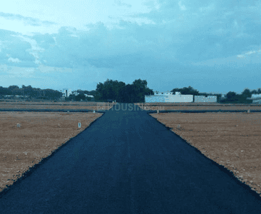 Project Images