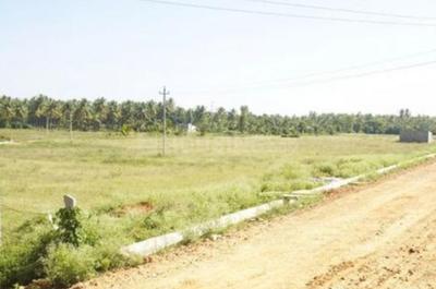 Project Image of 2000.0 - 2800.0 Sq.ft Residential Plot Plot for buy in Maxworth Max Sri Vishnu Residency