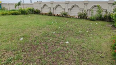 Project Image of 988.77 - 1381.33 Sq.ft Residential Plot Plot for buy in Eden Villa