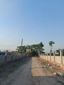 Project Image of 1440.0 - 2160.0 Sq.ft Residential Plot Plot for buy in Southview Star City