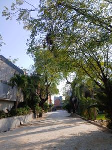 Project Image of 2500.0 - 5500.0 Sq.ft Residential Plot Plot for buy in Asopalav Presidential Villas