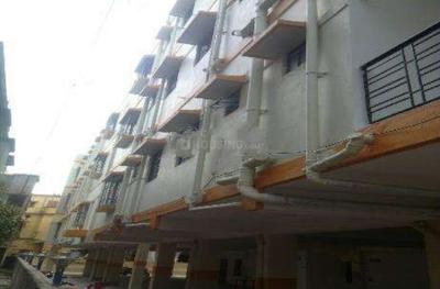Project Image of 630.0 - 900.0 Sq.ft 2 BHK Apartment for buy in Palm Elson Sapphire