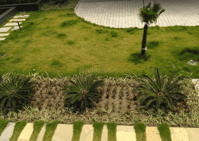 Project Image of 1150 Sq.ft 3 BHK Apartment / Flat for sale in Rajarhat for Rs. 11000000