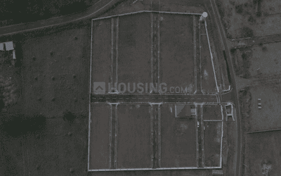 Project Images
