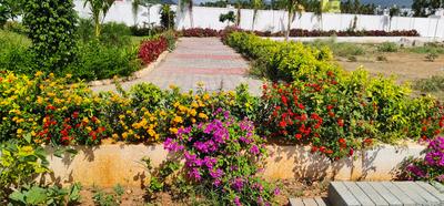 Project Image of 400.0 - 957.0 Sq.ft 1 BHK Villa for buy in Steps Stone Aalam Phase 2
