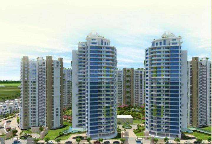 Logix Blossom Greens - Image 3