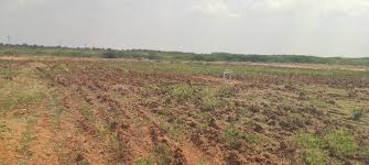 Mahamumbai Plots in Chirle Plot 1