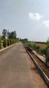 Project Image of 3000.0 - 4000.0 Sq.ft Residential Plot Plot for buy in Svamitva Sylvia City