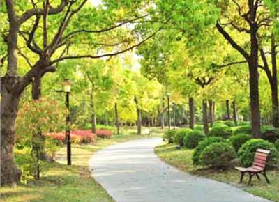 Project Image of 914.0 - 1242.0 Sq.ft 2 BHK Apartment for buy in Doshi Wellspring