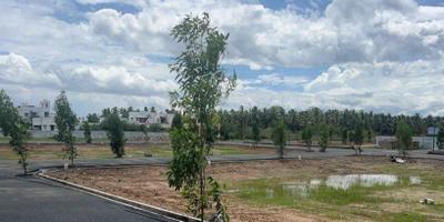Project Image of 1254.0 - 4352.0 Sq.ft Residential Plot Plot for buy in Lavin Enclave