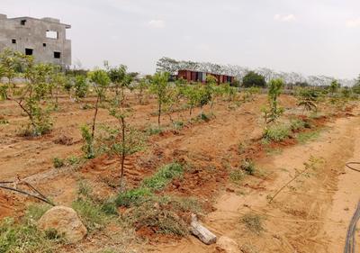 Project Image of 1350.0 - 2700.0 Sq.ft Residential Plot Plot for buy in Vision Siri Vanam