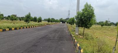 Project Image of 1368.0 - 4050.0 Sq.ft Residential Plot Plot for buy in Mega Pharma City