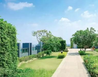 Project Image of 503.0 - 1314.0 Sq.ft 2 BHK Apartment for buy in Kalpataru Sector 5 Wing G and H