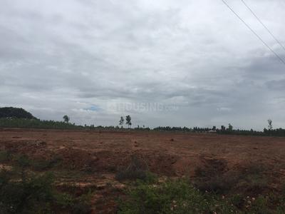 Project Image of 600.0 - 4000.0 Sq.ft Residential Plot Plot for buy in M and M Krishna Greens Eastwind