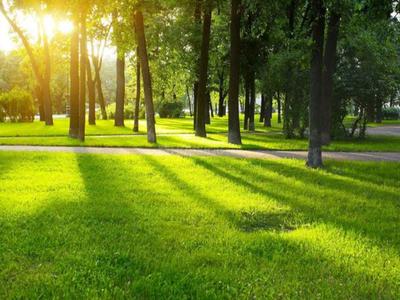 Project Image of 1250.0 - 2768.0 Sq.ft 2 BHK Apartment for buy in RMZ Marq