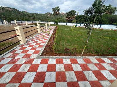 NSR Fortune County Landscape Garden and Tree Planting 1