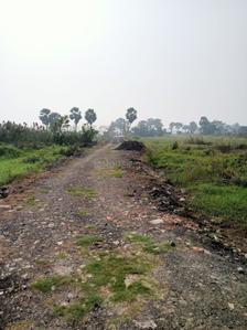 Project Image of 720.0 - 2880.0 Sq.ft Residential Plot Plot for buy in Alisha Blue Heaven Plot
