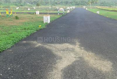 Project Image of 399.99 - 2080.02 Sq.ft Residential Plot Plot for buy in Amazze AL Nagar