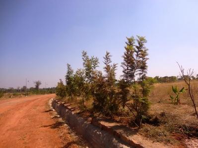 Project Image of 1200.0 - 3000.0 Sq.ft Residential Plot Plot for buy in Blue Smilee Views