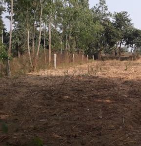 Project Image of 0.0 - 1200.0 Sq.ft Residential Plot Plot for buy in HomeswarD Green Garden Estate