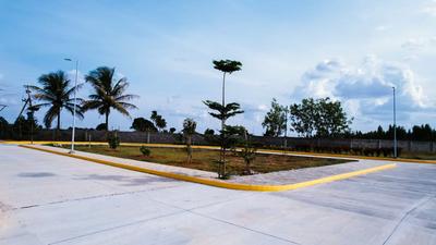 Project Image of 1300.0 - 12916.69 Sq.ft Residential Plot Plot for buy in Annciya Isha Serene